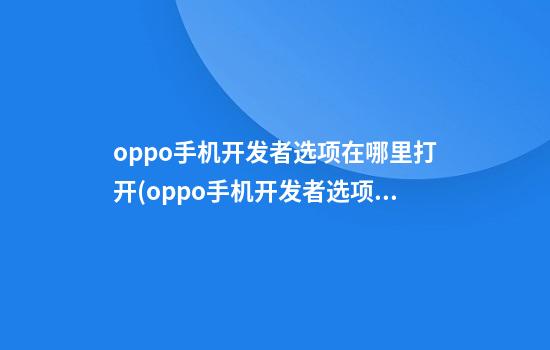 oppo手机开发者选项在哪里打开(oppo手机开发者选项在哪里打开来电亮屏)