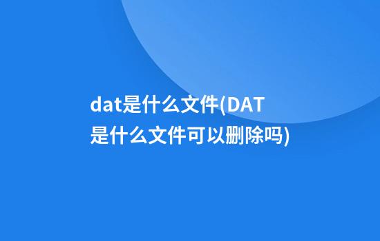 dat是什么文件(DAT是什么文件可以删除吗)