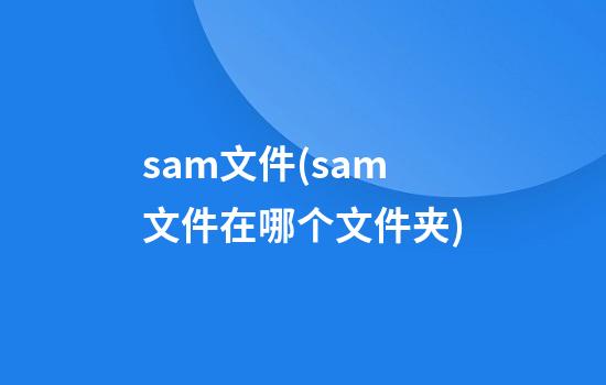 sam文件(sam文件在哪个文件夹)