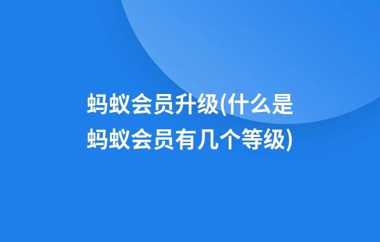 蚂蚁会员升级(什么是蚂蚁会员?有几个等级)