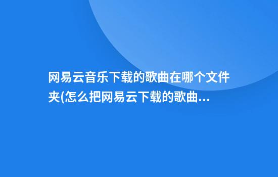 网易云音乐下载的歌曲在哪个文件夹(怎么把网易云下载的歌曲改成mp3)