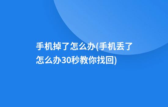 手机掉了怎么办(手机丢了怎么办?30秒教你找回)