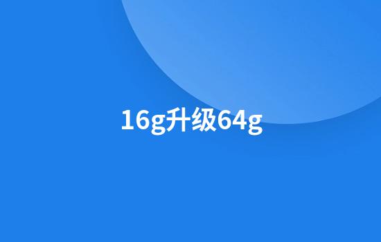 16g升级64g