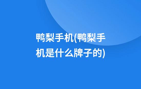 鸭梨手机(鸭梨手机是什么牌子的)