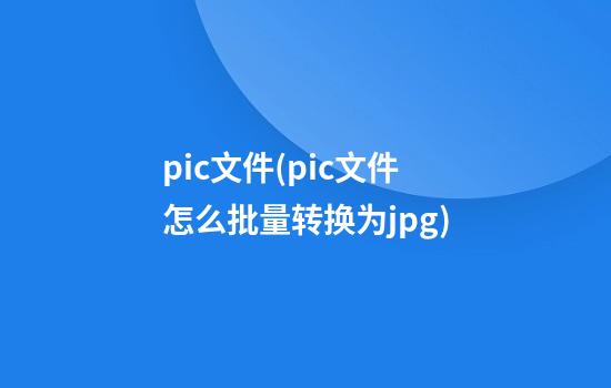 pic文件(pic文件怎么批量转换为jpg)