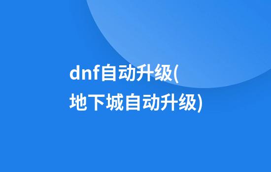 dnf自动升级(地下城自动升级)