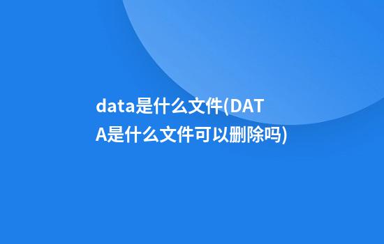 data是什么文件(DATA是什么文件可以删除吗)