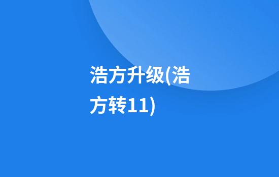 浩方升级(浩方转11)