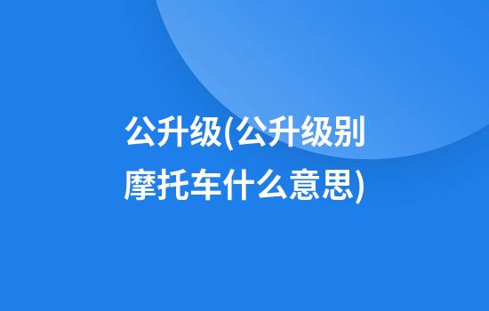 公升级(公升级别摩托车什么意思)