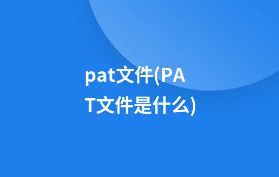 pat文件(PAT文件是什么)