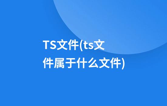 TS文件(ts文件属于什么文件)