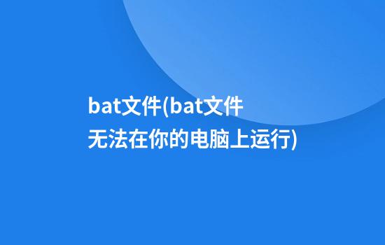 bat文件(bat文件无法在你的电脑上运行)