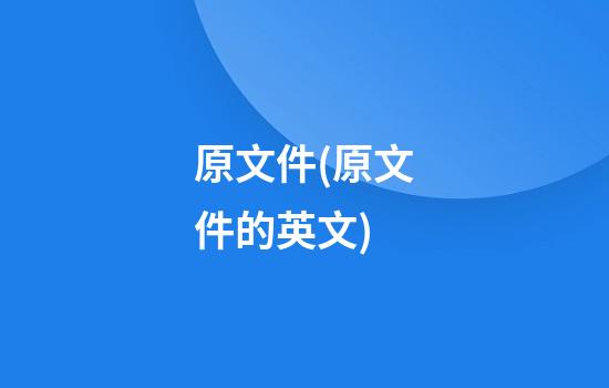 原文件(原文件的英文)