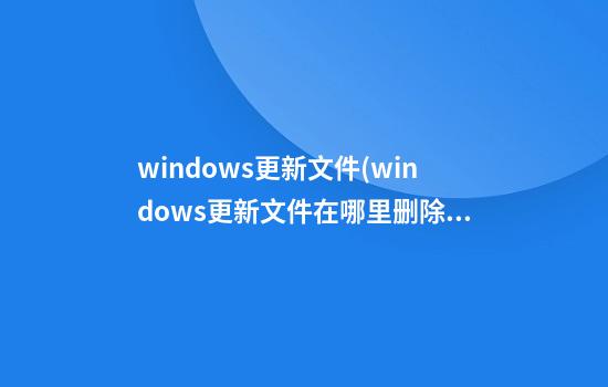 windows更新文件(windows更新文件在哪里删除)