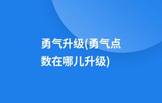 勇气升级(勇气点数在哪儿升级)