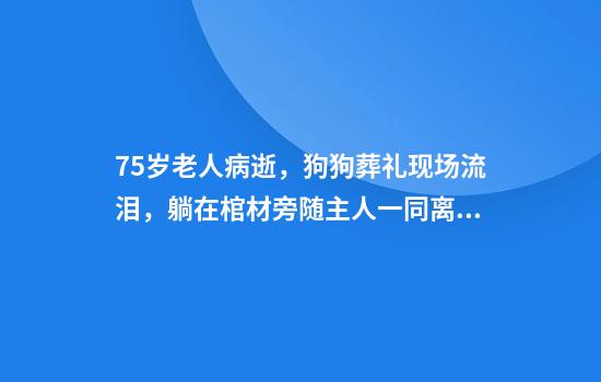 75岁老人病逝，狗狗葬礼现场流泪，躺在棺材旁随主人一同离世