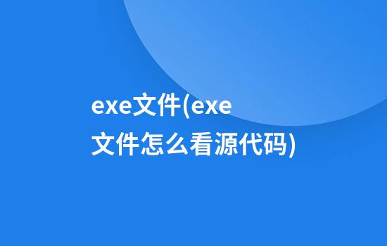 exe文件(exe文件怎么看源代码)