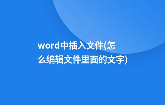 word中插入文件(怎么编辑文件里面的文字)