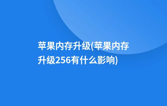 苹果内存升级(苹果内存升级256有什么影响)