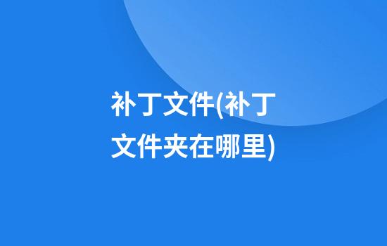 补丁文件(补丁文件夹在哪里)