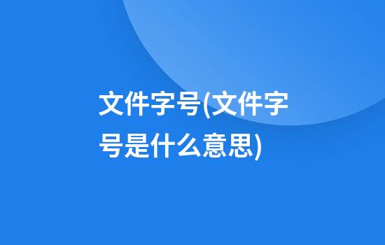 文件字号(文件字号是什么意思)