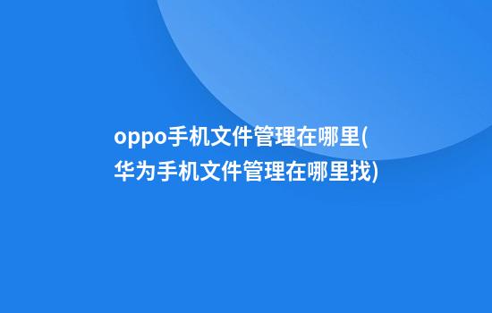 oppo手机文件管理在哪里(华为手机文件管理在哪里找)