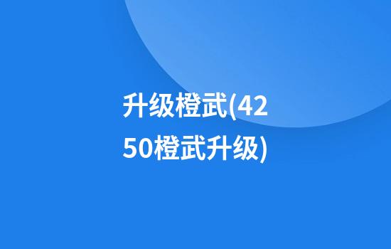 升级橙武(4250橙武升级)