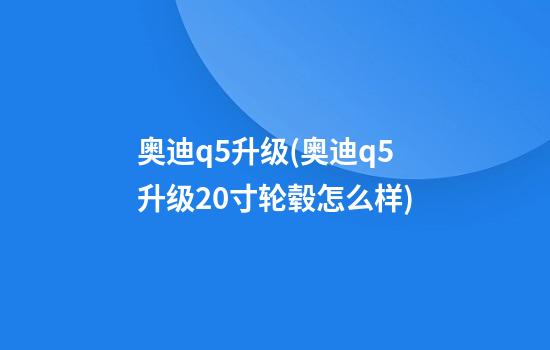 奥迪q5升级(奥迪q5升级20寸轮毂怎么样)