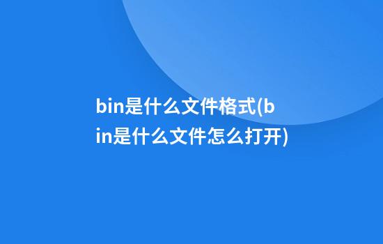 bin是什么文件格式(bin是什么文件怎么打开)