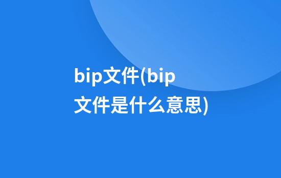 bip文件(bip文件是什么意思)