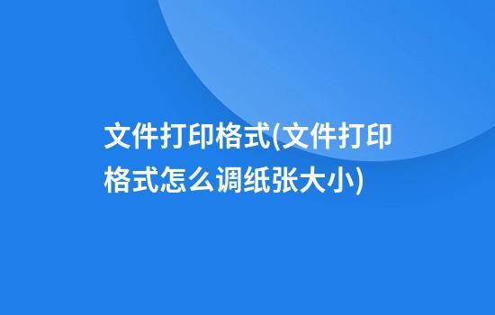 文件打印格式(文件打印格式怎么调纸张大小)