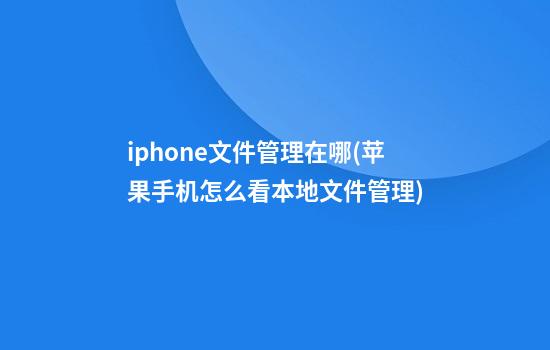 iphone文件管理在哪(苹果手机怎么看本地文件管理)