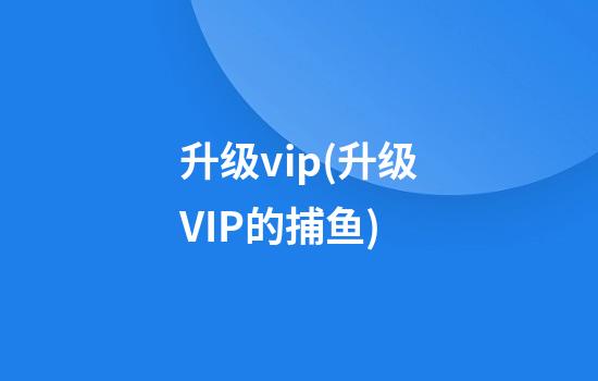 升级vip(升级VIP的捕鱼)