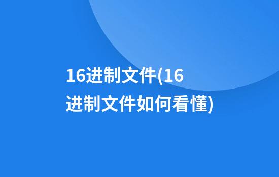 16进制文件(16进制文件如何看懂)