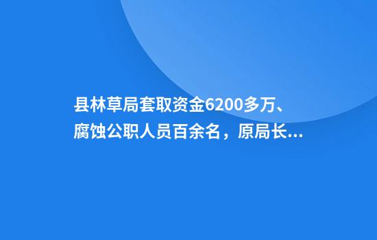 县林草局套取资金6200多万、腐蚀公职人员百余名，原局长被查