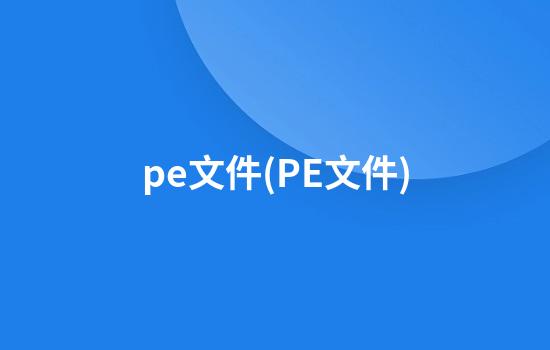 pe文件(PE文件)