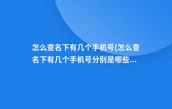 怎么查名下有几个手机号(怎么查名下有几个手机号分别是哪些)