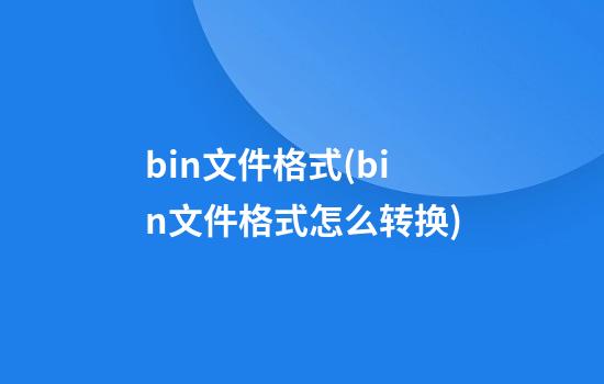 bin文件格式(bin文件格式怎么转换)