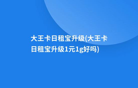 大王卡日租宝升级(大王卡日租宝升级1元1g好吗)