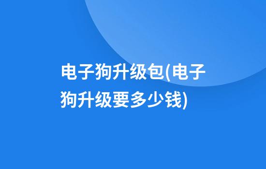 电子狗升级包(电子狗升级要多少钱)