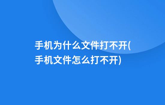 手机为什么文件打不开(手机文件怎么打不开)