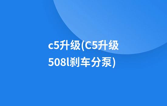 c5升级(C5升级508l刹车分泵)