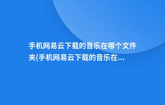 手机网易云下载的音乐在哪个文件夹(手机网易云下载的音乐在哪个文件夹ios)