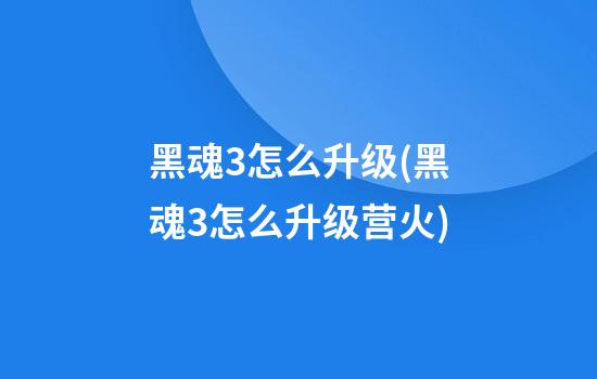 黑魂3怎么升级(黑魂3怎么升级营火)