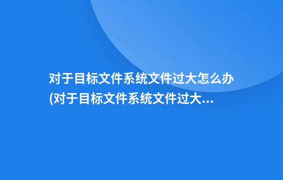 对于目标文件系统文件过大怎么办(对于目标文件系统文件过大怎么办U盘)