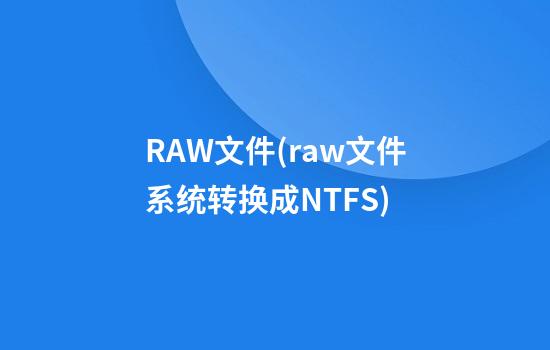 RAW文件(raw文件系统转换成NTFS)