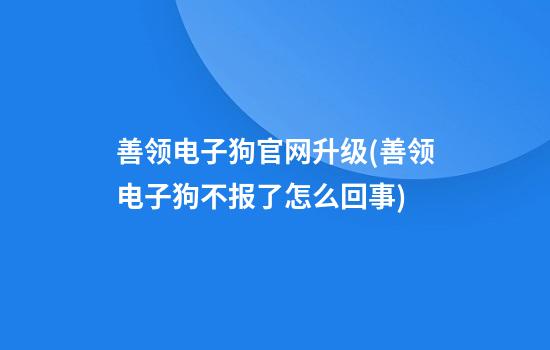 善领电子狗官网升级(善领电子狗不报了怎么回事)