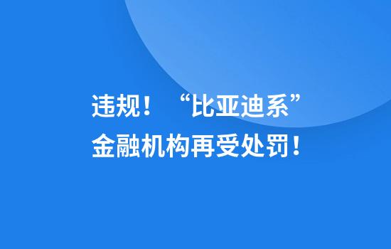 违规！“比亚迪系”金融机构再受处罚！