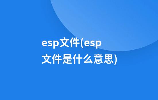 esp文件(esp文件是什么意思)