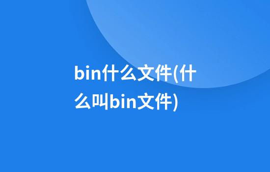 bin什么文件(什么叫bin文件)